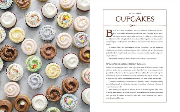 The Magnolia Bakery Handbook: A Complete Guide for the Home Baker (Bobbie Lloyd) Online