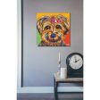 Sweet Yorkie I  by Carolee Vitaletti Giclee Canvas Wall Art Hot on Sale