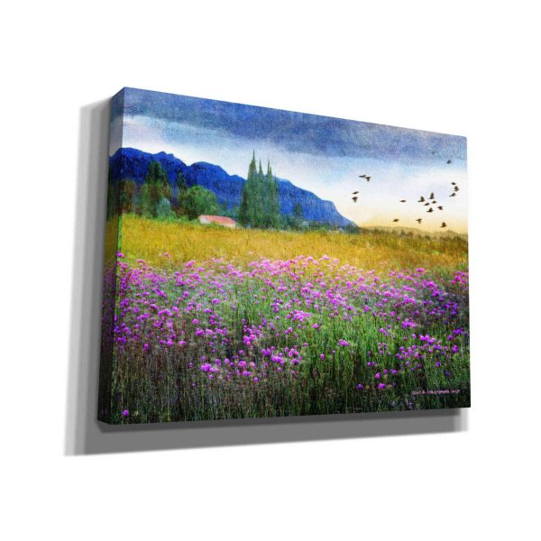 Mesa Verde and Knapweed  by Chris Vest, Giclee Canvas Wall Art Fashion