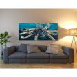 Wild Octopus II  by Carolee Vitaletti Giclee Canvas Wall Art Discount