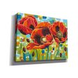 Vivid Poppies III  by Carolee Vitaletti Giclee Canvas Wall Art Discount