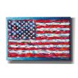 Vibrant Stars & Stripes  by Carolee Vitaletti, Giclee Canvas Wall Art on Sale