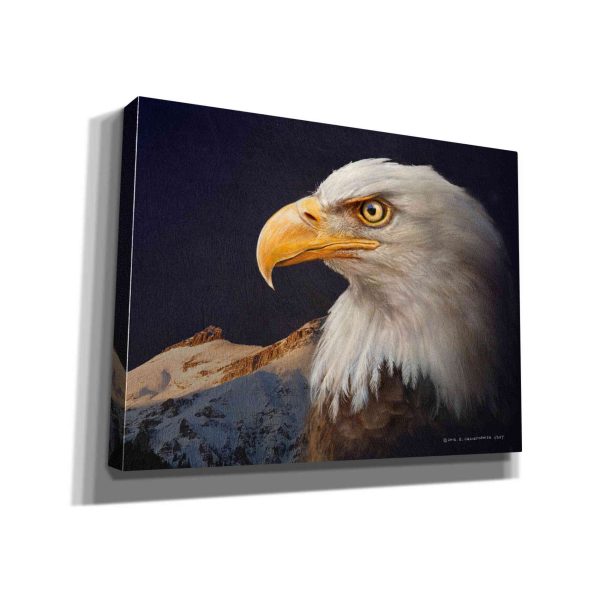 Bald Eagle Study  by Chris Vest, Giclee Canvas Wall Art For Discount