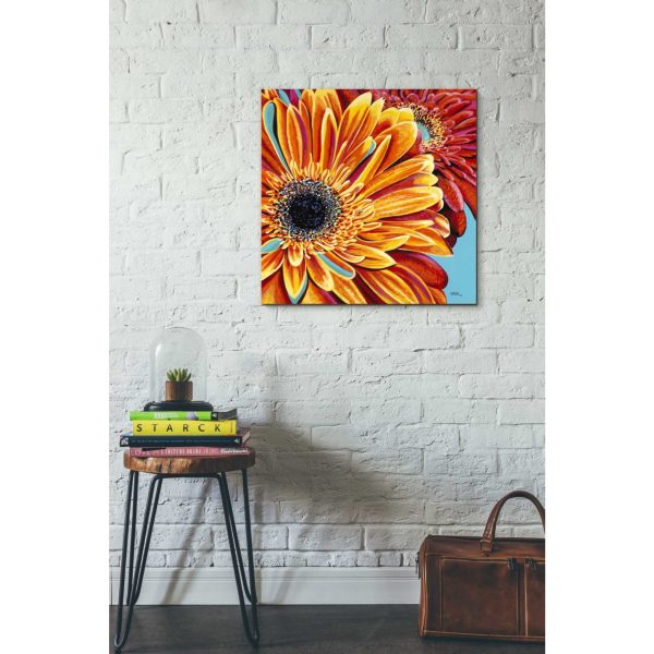 Color Bursts II  by Carolee Vitaletti, Giclee Canvas Wall Art Fashion