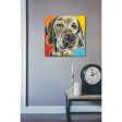 Canine Buddy II  by Carolee Vitaletti, Giclee Canvas Wall Art Sale