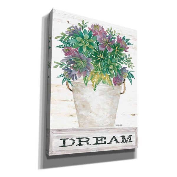 Dream Succulents  by Cindy Jacobs, Giclee Canvas Wall Art For Cheap