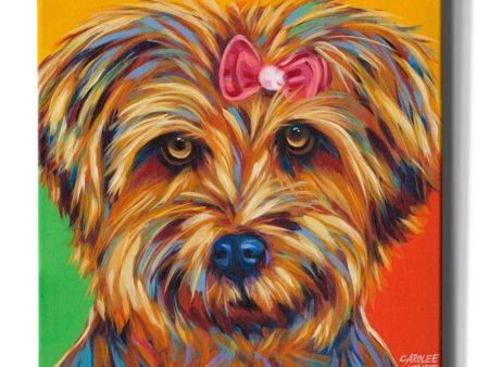 Sweet Yorkie I  by Carolee Vitaletti Giclee Canvas Wall Art Hot on Sale