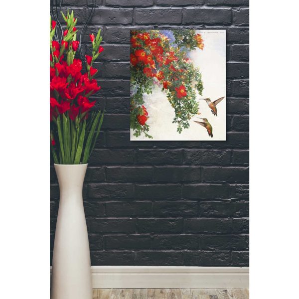 Hanging Red Roses and Hummers  by Chris Vest, Giclee Canvas Wall Art Cheap