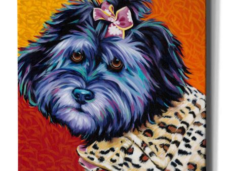 Cute Pups III  by Carolee Vitaletti, Giclee Canvas Wall Art Sale