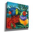 Birds in Paradise II  by Carolee Vitaletti, Giclee Canvas Wall Art Hot on Sale