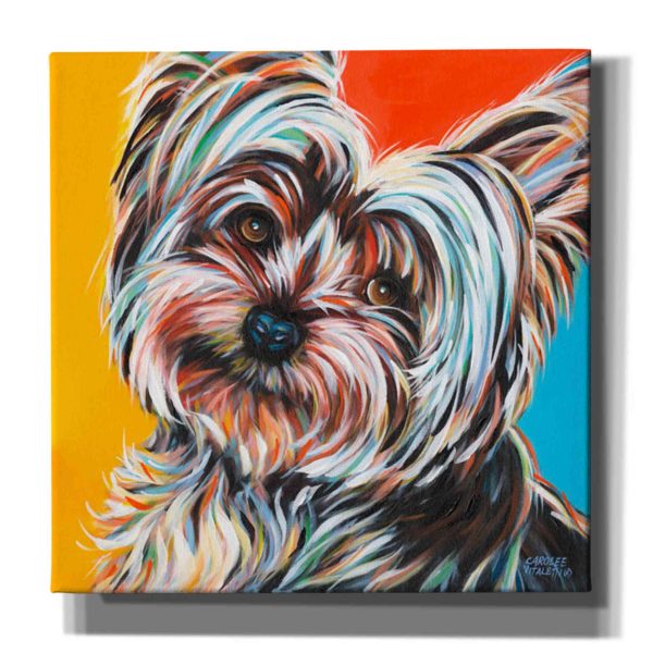 Sweet Yorkie II  by Carolee Vitaletti Giclee Canvas Wall Art Sale