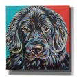 Canine Buddy I  by Carolee Vitaletti, Giclee Canvas Wall Art Sale