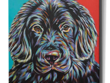 Canine Buddy I  by Carolee Vitaletti, Giclee Canvas Wall Art Sale