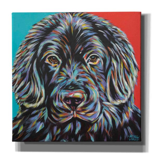 Canine Buddy I  by Carolee Vitaletti, Giclee Canvas Wall Art Sale