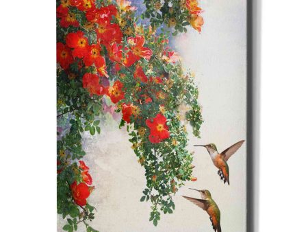 Hanging Red Roses and Hummers  by Chris Vest, Giclee Canvas Wall Art Cheap