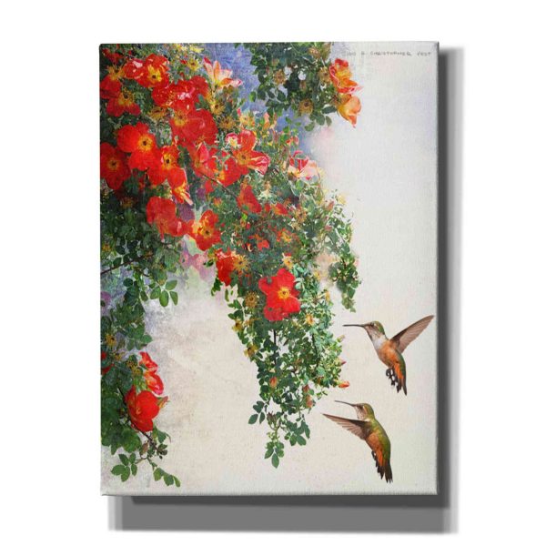 Hanging Red Roses and Hummers  by Chris Vest, Giclee Canvas Wall Art Cheap