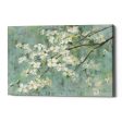 Dogwood in Spring on Blue  by Danhui Nai, Canvas Wall Art Online Hot Sale