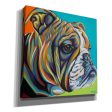 Dog Friend I  by Carolee Vitaletti, Giclee Canvas Wall Art Online Sale