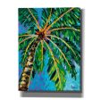 Under the Palms I  by Carolee Vitaletti, Giclee Canvas Wall Art Sale