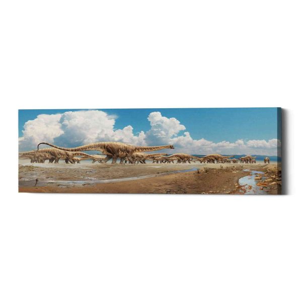 Migration  Canvas Wall Art For Discount