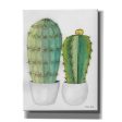 Cactus Love  by Cindy Jacobs, Giclee Canvas Wall Art Online Hot Sale