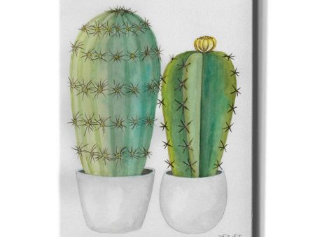 Cactus Love  by Cindy Jacobs, Giclee Canvas Wall Art Online Hot Sale