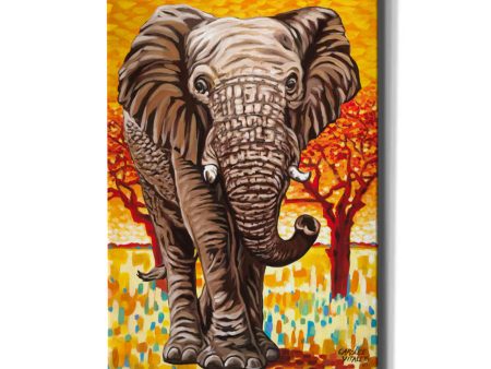 Wild Africa I  by Carolee Vitaletti Giclee Canvas Wall Art Online Hot Sale