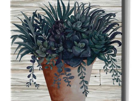 Remarkable Succulents I  by Cindy Jacobs, Giclee Canvas Wall Art Online now