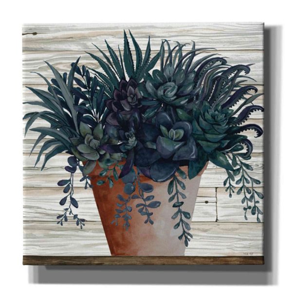 Remarkable Succulents I  by Cindy Jacobs, Giclee Canvas Wall Art Online now