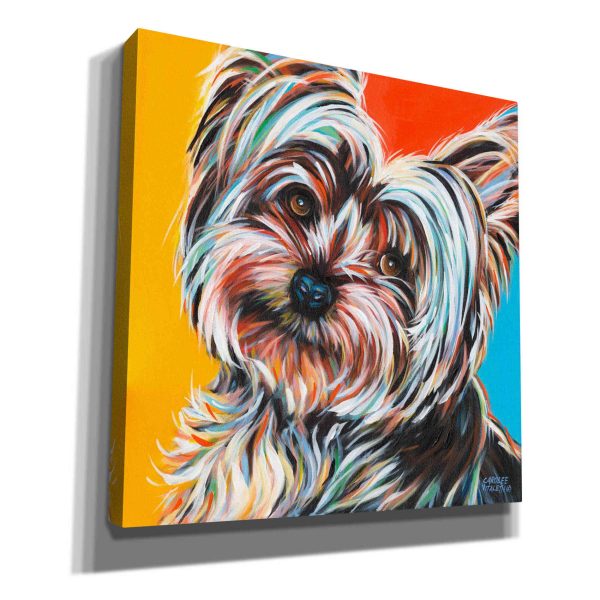 Sweet Yorkie II  by Carolee Vitaletti Giclee Canvas Wall Art Sale