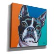 Dog Friend III  by Carolee Vitaletti, Giclee Canvas Wall Art Online Hot Sale