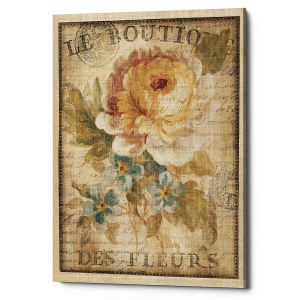 Parisian Flowers I  by Danhui Nai, Canvas Wall Art Online Hot Sale