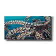 Wild Octopus I  by Carolee Vitaletti Giclee Canvas Wall Art Online Hot Sale