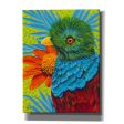 Bird in the Tropics II  by Carolee Vitaletti, Giclee Canvas Wall Art Discount