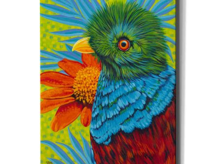 Bird in the Tropics II  by Carolee Vitaletti, Giclee Canvas Wall Art Discount