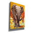 Wild Africa I  by Carolee Vitaletti Giclee Canvas Wall Art Online Hot Sale