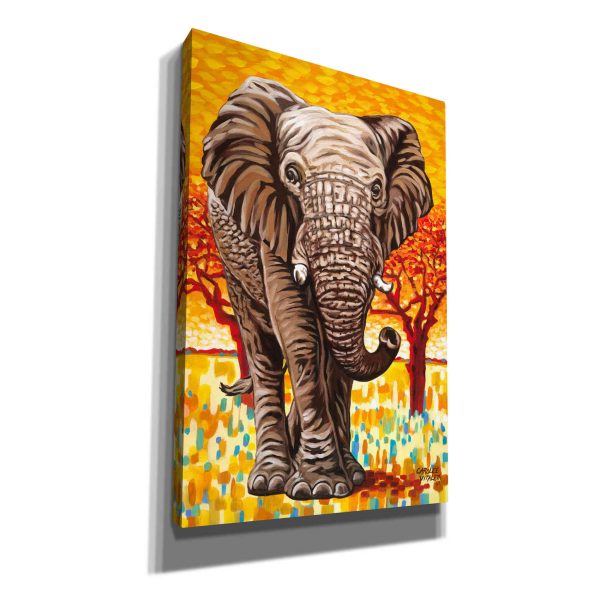 Wild Africa I  by Carolee Vitaletti Giclee Canvas Wall Art Online Hot Sale