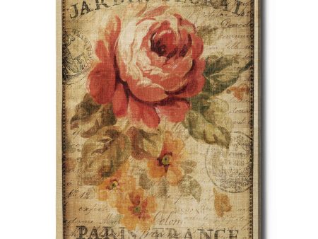 Parisian Flowers II  by Danhui Nai, Canvas Wall Art on Sale