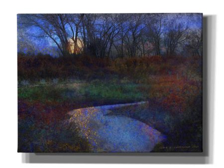 Moonlit Stream  by Chris Vest, Giclee Canvas Wall Art Online Hot Sale