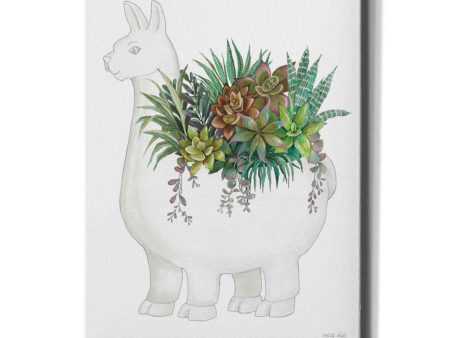 Proud Llama Pot II  by Cindy Jacobs, Giclee Canvas Wall Art on Sale