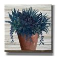 Remarkable Succulents II  by Cindy Jacobs, Giclee Canvas Wall Art Online Hot Sale