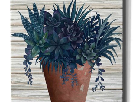 Remarkable Succulents II  by Cindy Jacobs, Giclee Canvas Wall Art Online Hot Sale