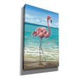 Beach Walker Flamingo I  by Carolee Vitaletti, Giclee Canvas Wall Art Sale