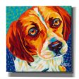 Dogs in Color II  by Carolee Vitaletti, Giclee Canvas Wall Art For Cheap