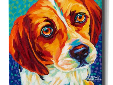 Dogs in Color II  by Carolee Vitaletti, Giclee Canvas Wall Art For Cheap