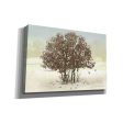 Juncos and Oak  by Chris Vest, Giclee Canvas Wall Art Online now