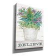 Believe Succulents  by Cindy Jacobs, Giclee Canvas Wall Art Sale