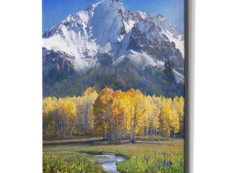 Idyllic Mountain  by Chris Vest, Giclee Canvas Wall Art Supply