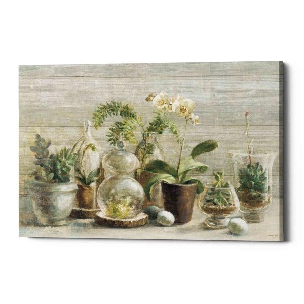 Greenhouse Orchids on Wood  by Danhui Nai, Canvas Wall Art on Sale