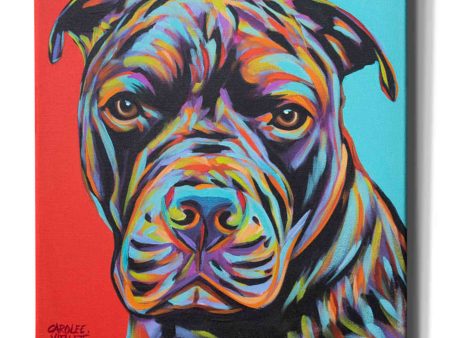 Canine Buddy III  by Carolee Vitaletti, Giclee Canvas Wall Art Hot on Sale